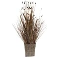 Dried Wheat Grass in Basket - 32"