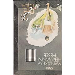 Wandering (Picador Books)