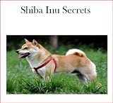 Shiba Inu Secrets: How to Raise Happy and Healthy Shiba Inus