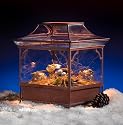 Asian Inspired Tabletop Terrarium