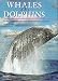 Whales and Dolphins