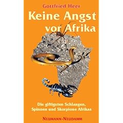 Keine Angst vor Afrika: Die giftigsten Schlangen, Spinnen und Skorpione Afrikas