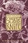 The Subtle Knife