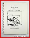 Introduction to Seashell Divination
