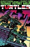 Teenage Mutant Ninja Turtles Color Classics #1