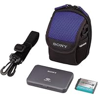 Sony ACC-CFR Value Accessory Kit for the DSCP100/150/200/F88 Digital Cameras