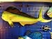 Gorgeous Hand Painted Mahi Mahi Replica 48" Wall Mount Art Sculpture