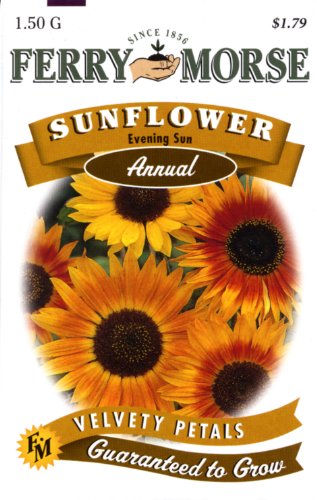 Ferry-Morse 1501 Sunflower Annual Flower Seeds, Evening Sun (1.5 Gram Packet)