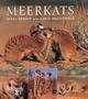 Meerkats