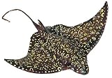 Spotted Eagle Ray