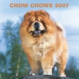 Chow Chows 2007 Calendar