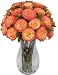 Two Dozen Sundaze Roses without Vase