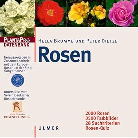 Rosen. CD-ROM f�r Windows 95/NT4.0