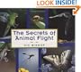 The Secrets of Animal Flight
