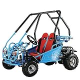 110cc Go Kart, Air Cooled 4 Stroke