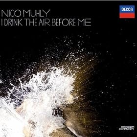 I Drink The Air Before Me