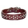 1.25 in. Tapered Dome Full-Studded Latigo Leather Dog Collar model 6013 (Black, 19 in.)