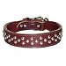 1.25 in. Tapered Dome Full-Studded Latigo Leather Dog Collar model 6013 (Burgundy, 21 in.)