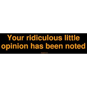 Your ridiculous little opinion has been noted Bumper Sticker