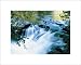 Babbling Brook by Jh Pete Carmichael - Fine Art Print / Poster - 19.75 x 15.75