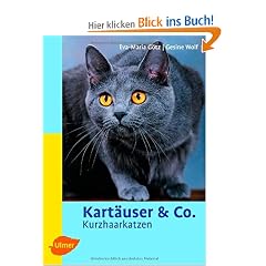 Kart�user & Co: Kurzhaarkatzen