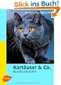 Kart�user & Co: Kurzhaarkatzen