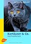 Kart�user & Co: Kurzhaarkatzen