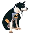 Batman Pet Costume