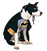 Batman Pet Costume