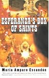 Esperanza's Box of Saints