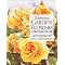 Books I Learn Painting From
