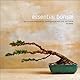 The Essential Bonsai