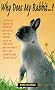 Why Does My Rabbit . . . ?