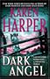 Dark Angel (Maplecreek Amish Trilogy #3)