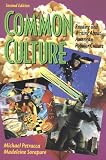 Common Culture: Reading and Writing About American Popular Culture image