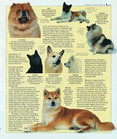 Cover image : The Encyclopedia of the Dog: The Definitive Visual Guide
