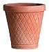 Medium Balmoral Collection - etched