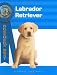 Labrador Retriever (Breeders' Best)