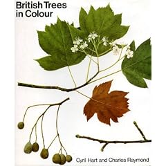 British Trees in Colour