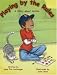 Books: Small picture for Playing by the Rules. A Story about Autism