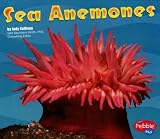 Sea Anemones (Under the Sea (Capstone Library))