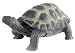 BULLYLAND 63865 - Soft-Play Landschildkröte