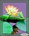 NATURE'S PHOTOGRAPHIC ARTISTRY BY DSW - Yellow Water Lily In Pond - Photography Print 8