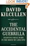 The Accidental Guerrilla: Fighting Small Wars in the Midst of a Big One