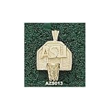 Arizona State ASU Backboard Pendant (14kt)