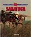 Saratoga (Battlefields Across America)
