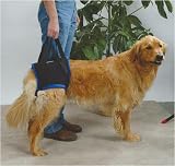 Pet Supplies : Walkabout Harness - X-Large