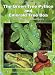 The Green Tree Python and Emerald Tree Boa: Care, Breeding and Natural History, Second Extended Edition by Ron Kivit