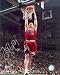 Kirk Hinrich Chicago Bulls -Dunk- 8x10 Autographed Photograph