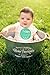 Lucy Darling Shop Monthly Bodysuit Baby Sticker - Baby Boy - Milestone Stickers - 12 Stickers
